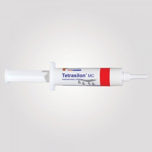 Tetrasilon